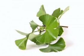 ginkgo biloba for penis enlargement